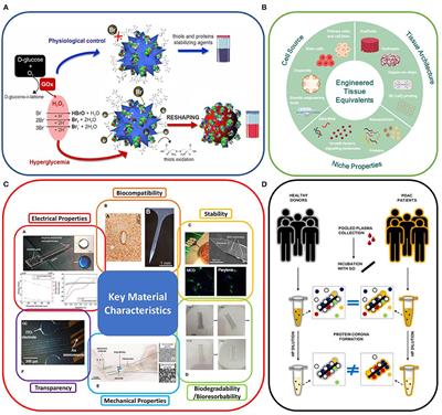 Editorial: Short-Term Versus Long-Term Challenges in Functional Biomaterials Interfacing Living Systems: Two Sides of the Coin